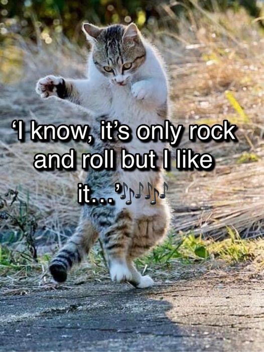 its only rock and roll.jpg