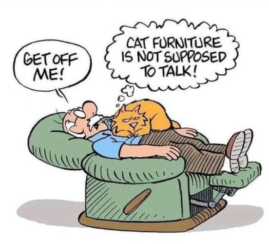 furniture should not talk.jpg