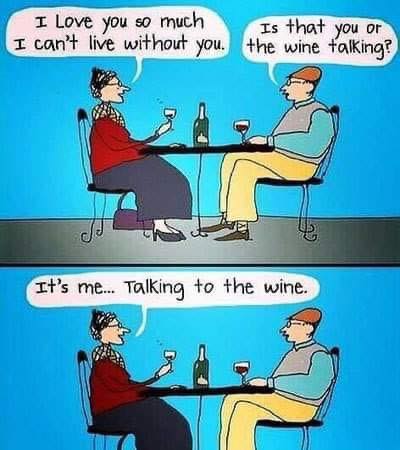 talking to the wine.jpg