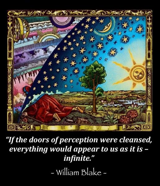 clean the doors of perception.jpg