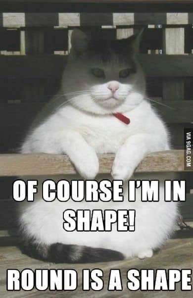 round is a shape.jpg