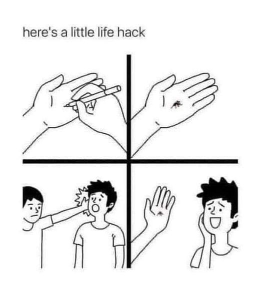 life hack to slap someone.jpg