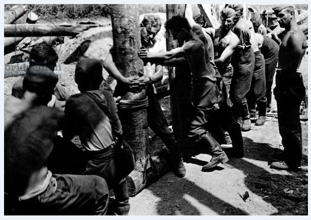 Repairing Bridges.jpg