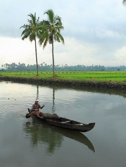Nile Delta.jpg