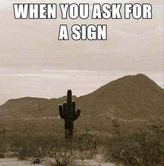 when you ask for a sign.jpg