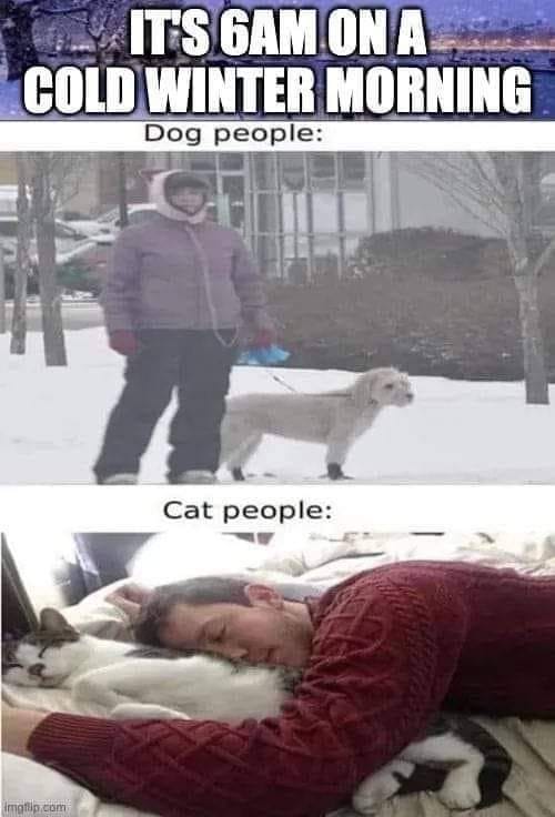 cold winter morning  dog people vs cat people.jpg