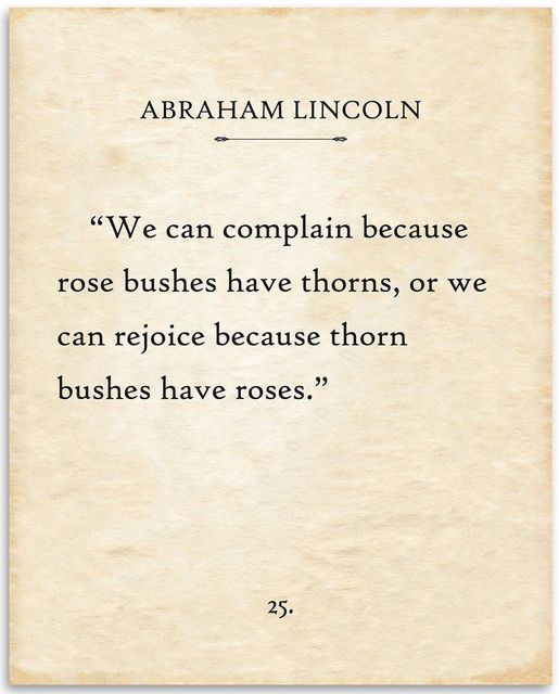 rose bushes have thorns.jpg