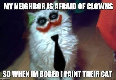 cat painted like a clown.jpg