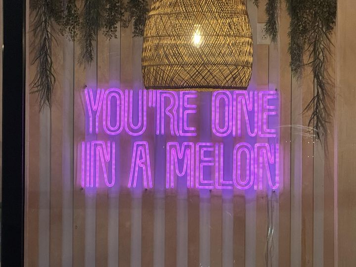 youre the one in a melon.jpg
