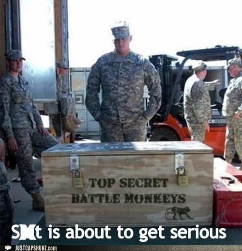 sht is about to get serious.jpg
