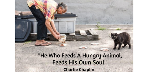 he who feeds a hungry animal feeds his own soul.png