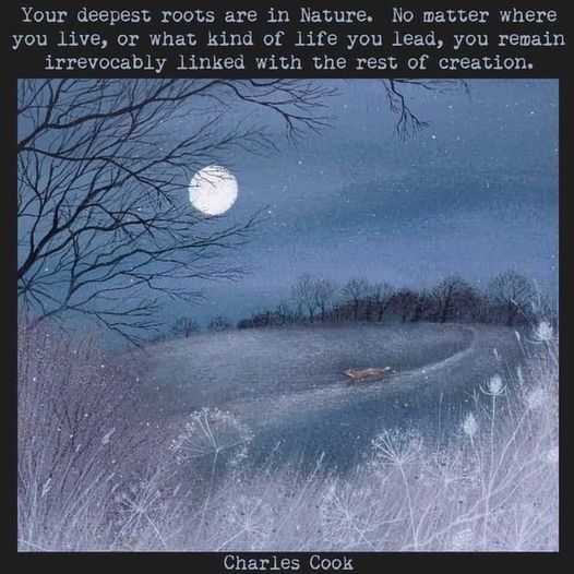 deepest roots are in nature.jpg