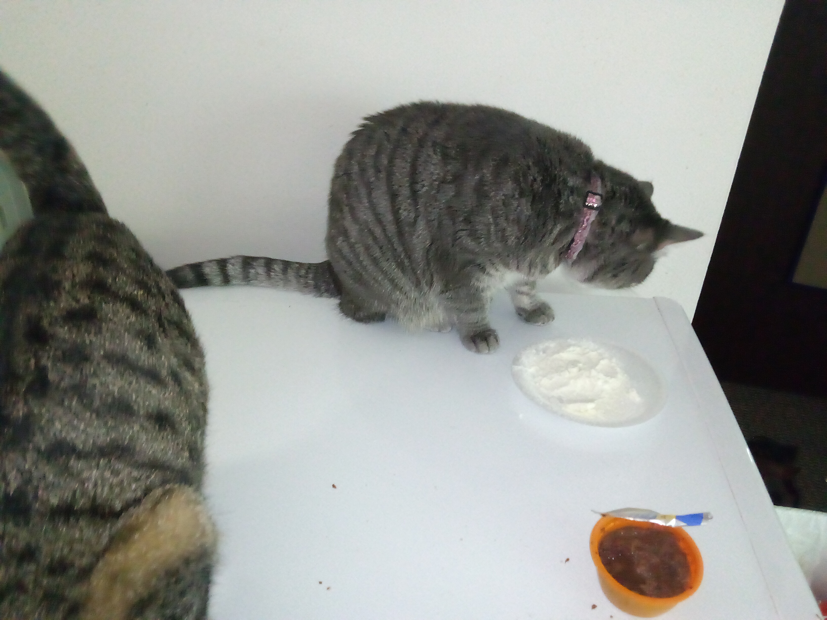IMG_20220708_124615.jpg