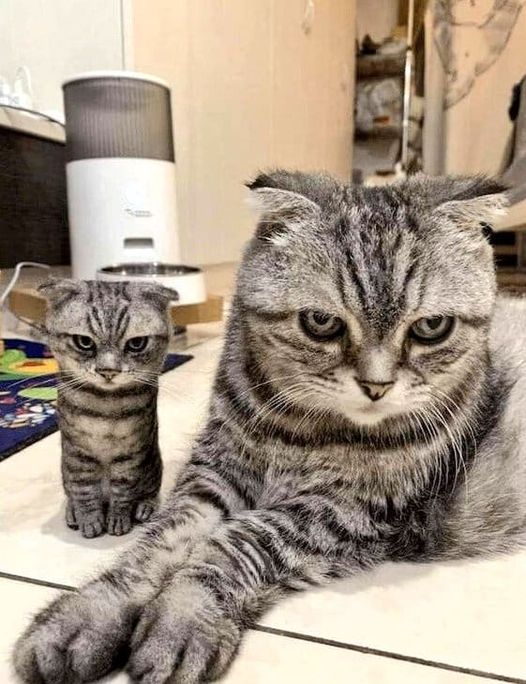 Father and son. No DNA test needed..jpg