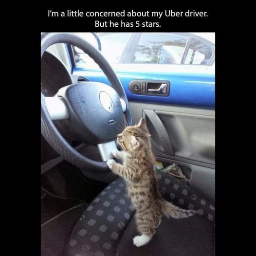 5 star Uber driver.jpg