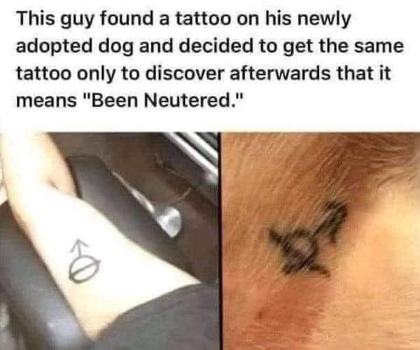 guy with a been neutered tattoo.jpg