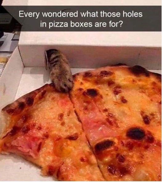 what the holes in pizza boxes are for.jpg