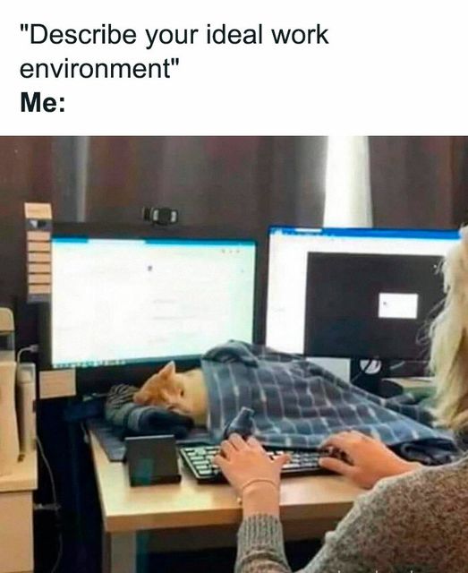 describe your ideal work environment.jpg