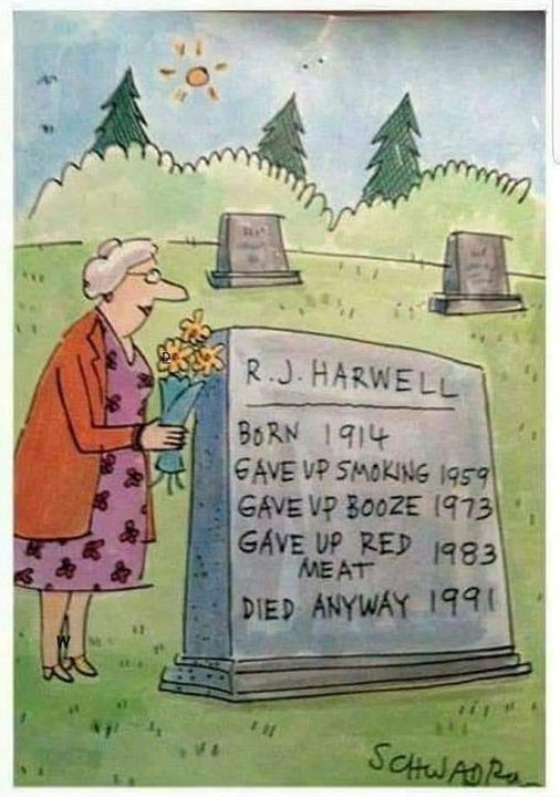 died anyway.jpg