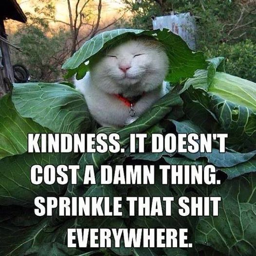 kindness doesn't cost a thing.jpg