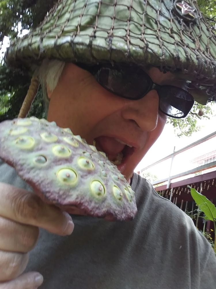General Lotus Eater.jpg