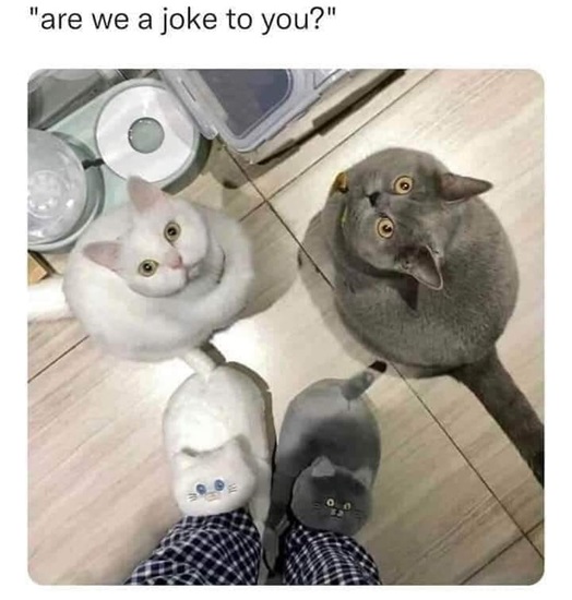 copycat slippers.jpg