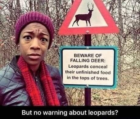 falling deer warning.jpg