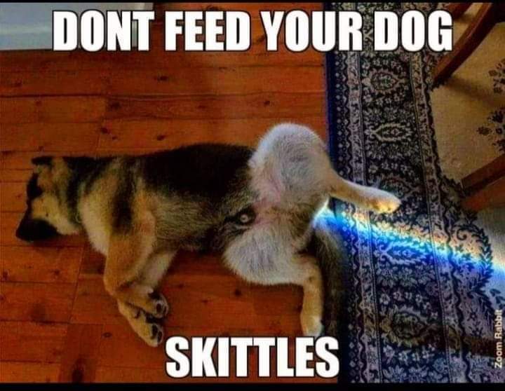 FB_IMG_1717015511254.jpg
