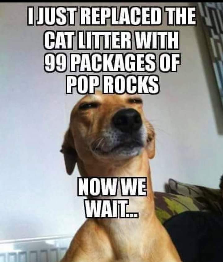 FB_IMG_1717107539991.jpg