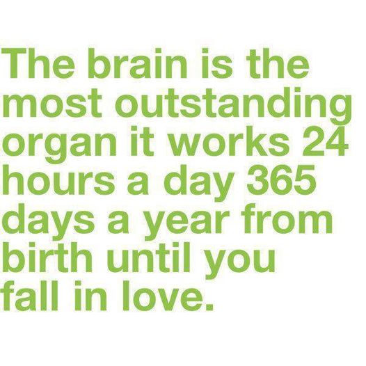 the brain works until you fall in love.jpg