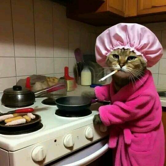 cat making breakfast.jpg