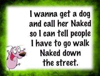 dog called naked.jpg