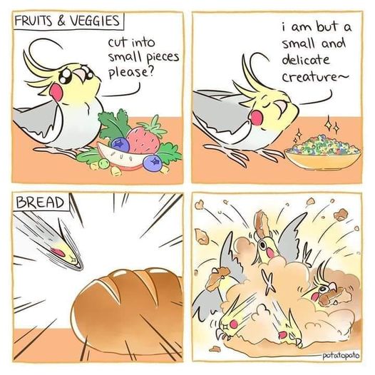 feeding a bird.jpg