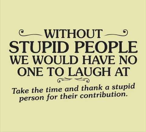 without stupid people.jpg