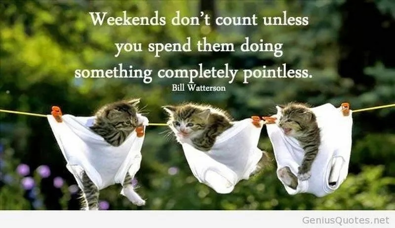 weekends dont count unless.jpg