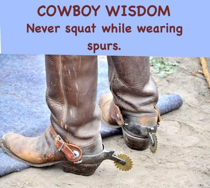 never squat wearing spurs.jpg
