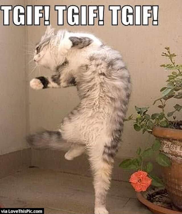 tgif-happy-friday-meme.jpg