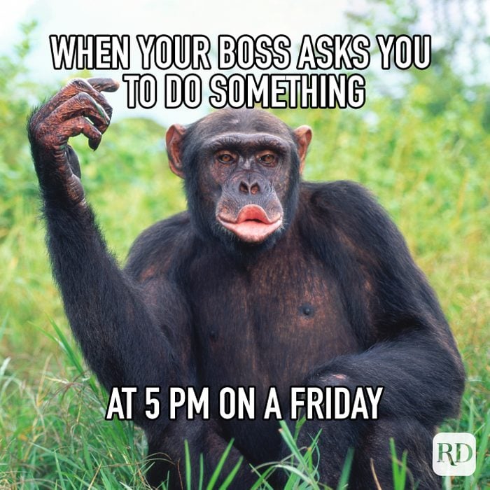 when-your-boss-asks-you-to-do-something-at-5pm-on-a-friday.jpg