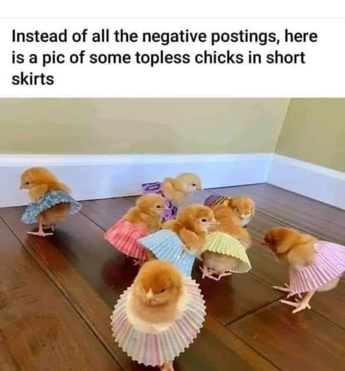 topless chicks in short skirts.jpg
