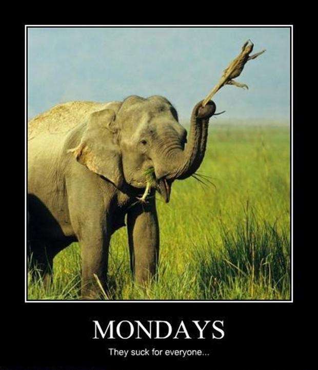 mondays they suck for everyone.jpg