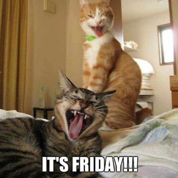 Its-Friday.jpg