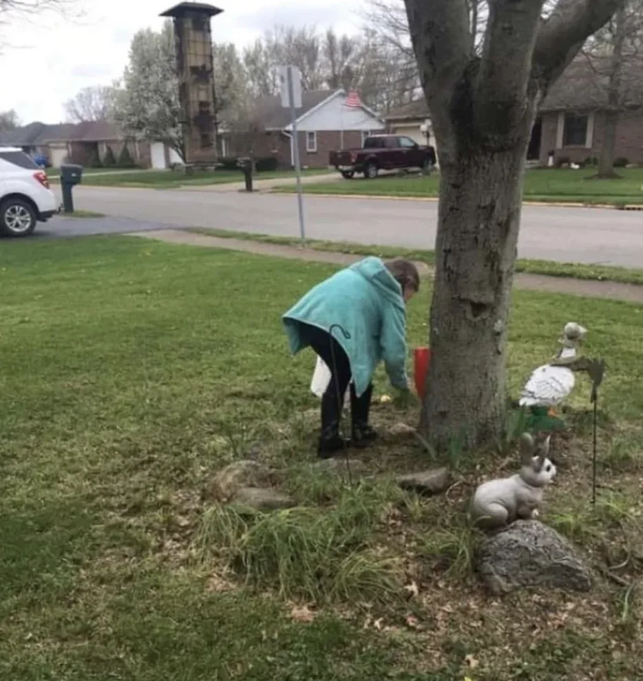 bird feeder hanging from the tree.png