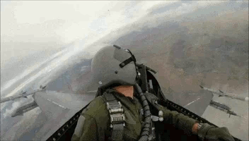 dogfight.gif