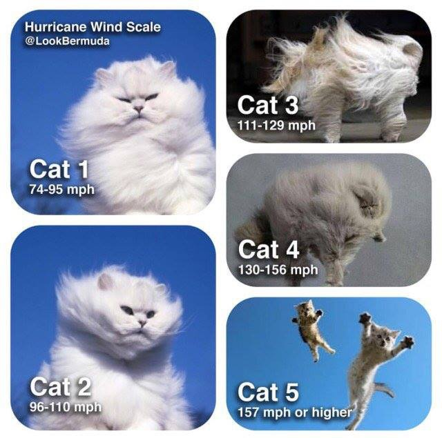 Cat hurricane wind Scale .png