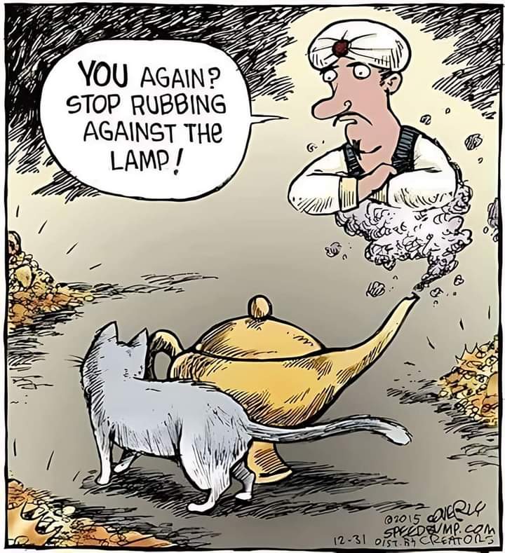 stop rubbing lamp.jpg