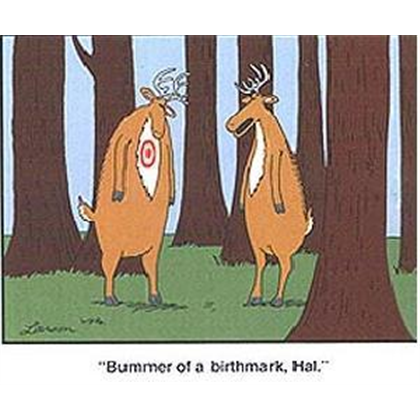 bummer of a birthmark.png