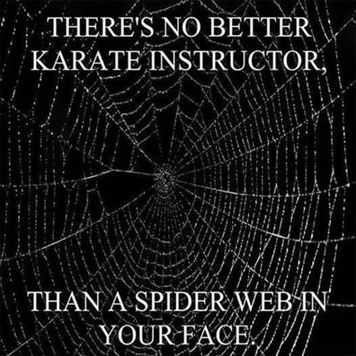 webjujitsu.jpg