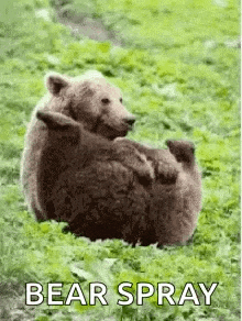 bear spray.gif
