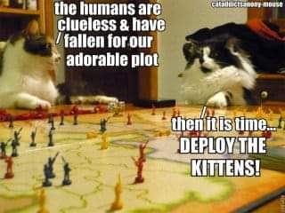 deploy the kittens.jpg