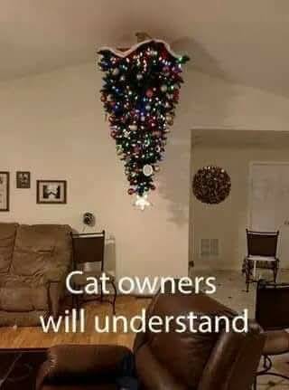 cat owners understand.jpg